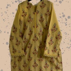 Bareezay embroidered Cotton/Muslin suit